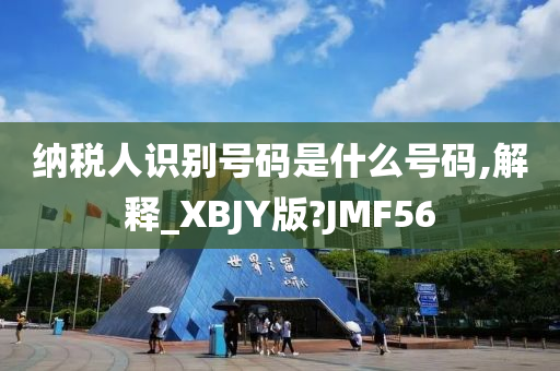 纳税人识别号码是什么号码,解释_XBJY版?JMF56