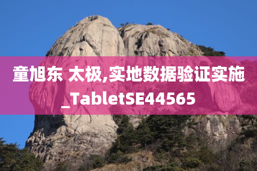 童旭东 太极,实地数据验证实施_TabletSE44565