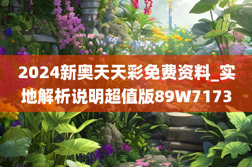 2024新奥天天彩免费资料_实地解析说明超值版89W7173