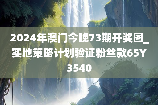 2024年澳门今晚73期开奖图_实地策略计划验证粉丝款65Y3540