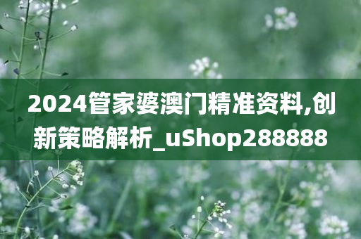 2024管家婆澳门精准资料,创新策略解析_uShop288888