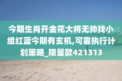 今期生肖开金花大将无帅找小组红蓝今期有玄机,可靠执行计划策略_限量款421313