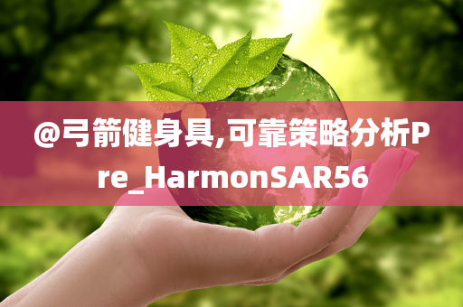 @弓箭健身具,可靠策略分析Pre_HarmonSAR56