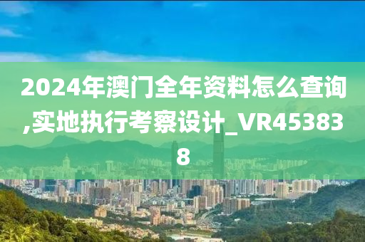 2024年澳门全年资料怎么查询,实地执行考察设计_VR453838