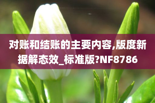 对账和结账的主要内容,版度新据解态效_标准版?NF8786