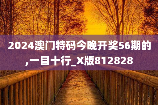 2024澳门特码今晚开奖56期的,一目十行_X版812828