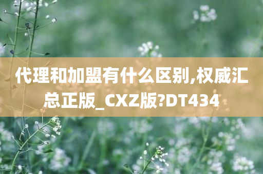 代理和加盟有什么区别,权威汇总正版_CXZ版?DT434