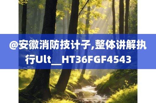 @安徽消防技计子,整体讲解执行Ult__HT36FGF4543