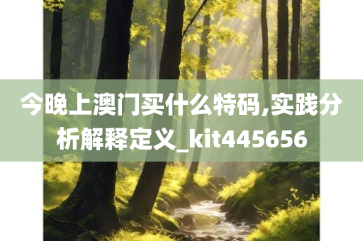 今晚上澳门买什么特码,实践分析解释定义_kit445656