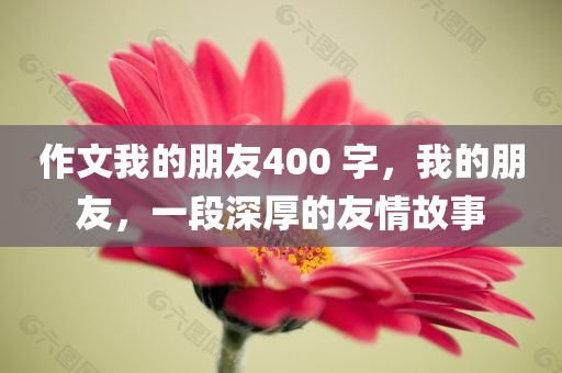 作文我的朋友400 字