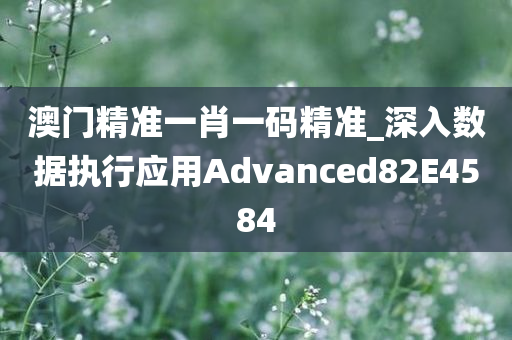 澳门精准一肖一码精准_深入数据执行应用Advanced82E4584