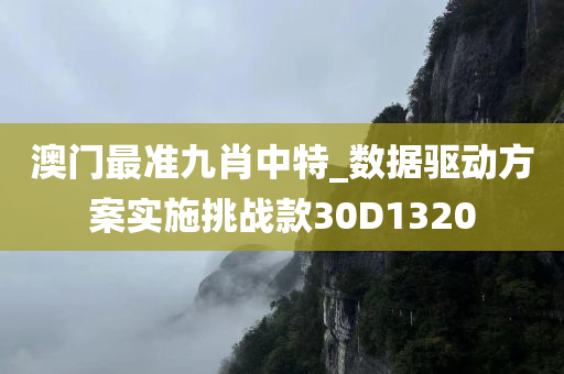 澳门最准九肖中特_数据驱动方案实施挑战款30D1320