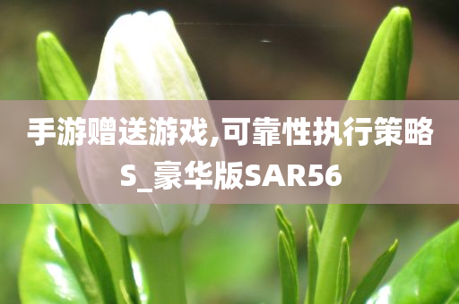 手游赠送游戏,可靠性执行策略S_豪华版SAR56