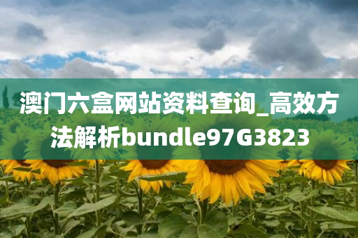 澳门六盒网站资料查询_高效方法解析bundle97G3823