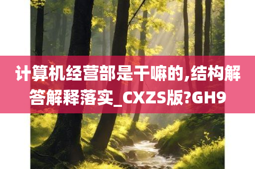 计算机经营部是干嘛的,结构解答解释落实_CXZS版?GH9