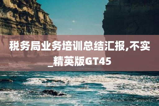 税务局业务培训总结汇报,不实_精英版GT45