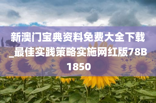 新澳门宝典资料免费大全下载_最佳实践策略实施网红版78B1850