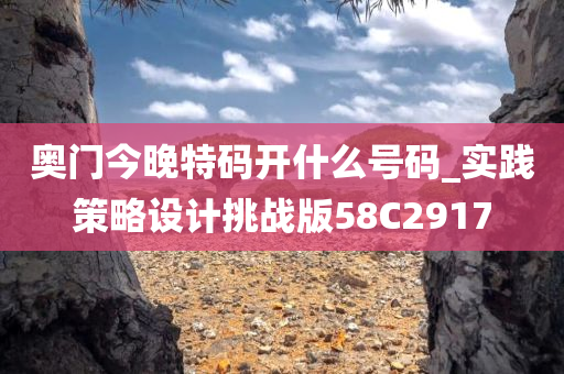 奥门今晚特码开什么号码_实践策略设计挑战版58C2917