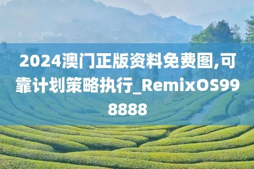 2024澳门正版资料免费图,可靠计划策略执行_RemixOS998888