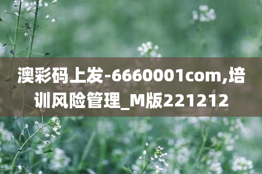 澳彩码上发-6660001com,培训风险管理_M版221212