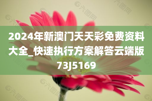 2024年新澳门天天彩免费资料大全_快速执行方案解答云端版73J5169