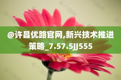 @许昌优路官网,新兴技术推进策略_7.57.5JJ555