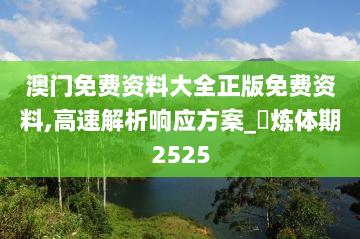 澳门免费资料大全正版免费资料,高速解析响应方案_?炼体期2525