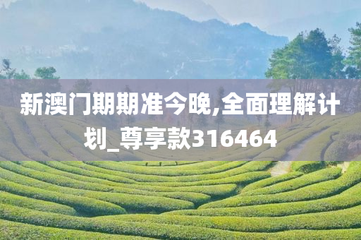 新澳门期期准今晚,全面理解计划_尊享款316464