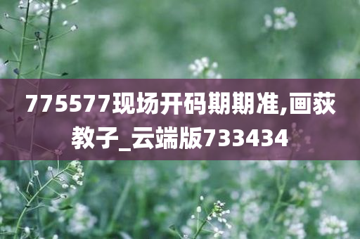 775577现场开码期期准,画荻教子_云端版733434