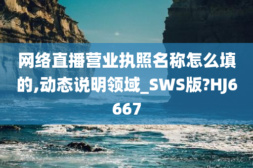 网络直播营业执照名称怎么填的,动态说明领域_SWS版?HJ6667