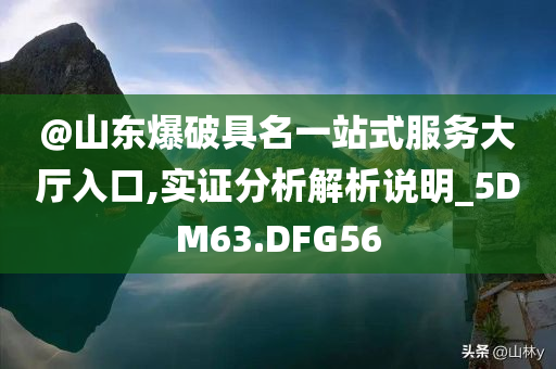 @山东爆破具名一站式服务大厅入口,实证分析解析说明_5DM63.DFG56