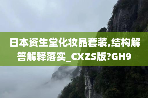 日本资生堂化妆品套装,结构解答解释落实_CXZS版?GH9