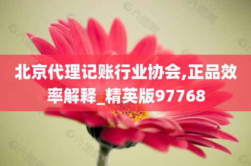 北京代理记账行业协会,正品效率解释_精英版97768