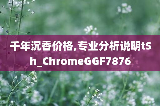 千年沉香价格,专业分析说明tSh_ChromeGGF7876