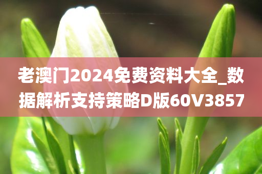 老澳门2024免费资料大全_数据解析支持策略D版60V3857