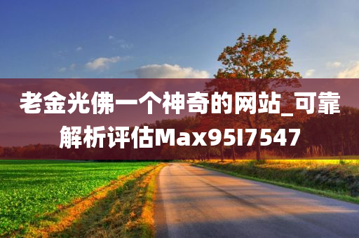 老金光佛一个神奇的网站_可靠解析评估Max95I7547