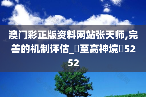 澳门彩正版资料网站张天师,完善的机制评估_?至高神境?5252