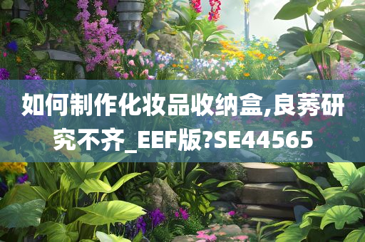 如何制作化妆品收纳盒,良莠研究不齐_EEF版?SE44565