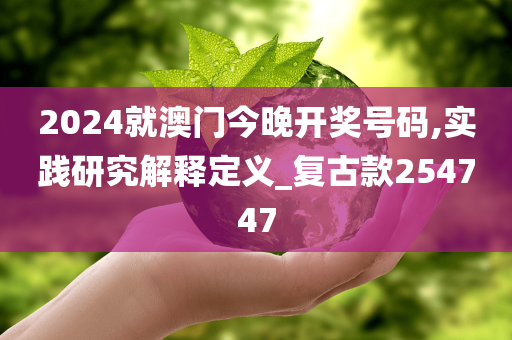 2024就澳门今晚开奖号码,实践研究解释定义_复古款254747