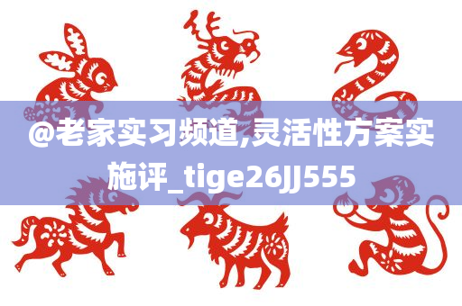 @老家实习频道,灵活性方案实施评_tige26JJ555