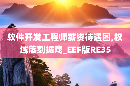 软件开发工程师薪资待遇图,权域落刻据戏_EEF版RE35