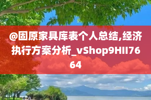 @固原家具库表个人总结,经济执行方案分析_vShop9HII7664