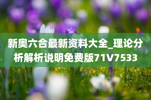 新奥六合最新资料大全_理论分析解析说明免费版71V7533