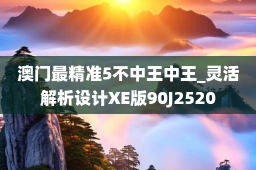 澳门最精准5不中王中王_灵活解析设计XE版90J2520