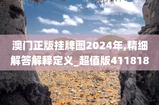 澳门正版挂牌图2024年,精细解答解释定义_超值版411818