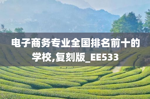 电子商务专业全国排名前十的学校,复刻版_EE533