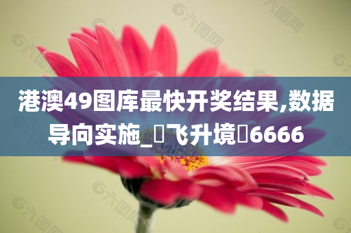 港澳49图库最快开奖结果,数据导向实施_?飞升境?6666