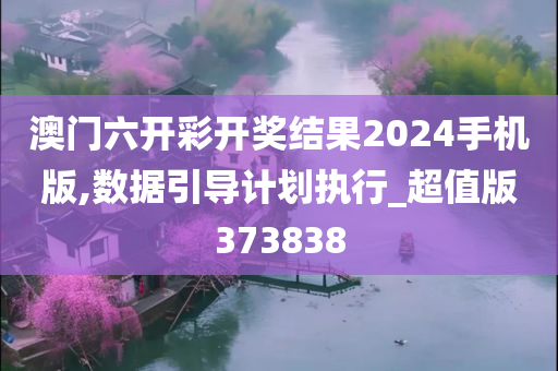 澳门六开彩开奖结果2024手机版,数据引导计划执行_超值版373838