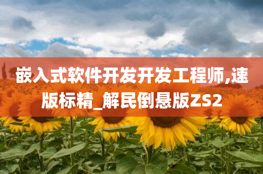 嵌入式软件开发开发工程师,速版标精_解民倒悬版ZS2