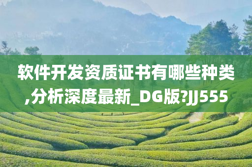 软件开发资质证书有哪些种类,分析深度最新_DG版?JJ555